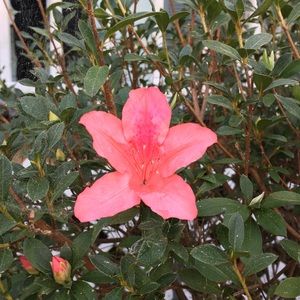 Meet your Posher, Discount